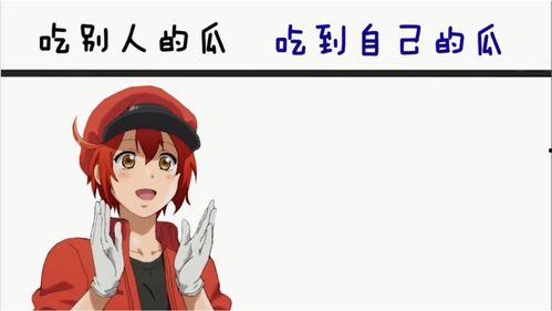 别人吃很甜的瓜我觉得苦,品味人生百态