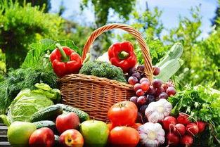 苏州魅力花园吃瓜,瓜果飘香，品味夏日田园风情