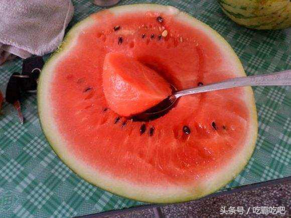 网友网上吃瓜,揭秘网友们的“瓜田”生活