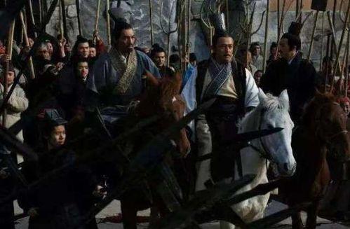 好奇害死猫 吃瓜,揭秘“好奇害死猫”背后的真相