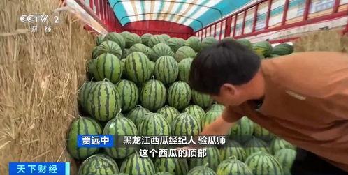 鞋厂吃瓜,一场关于“吃瓜”的职场风云