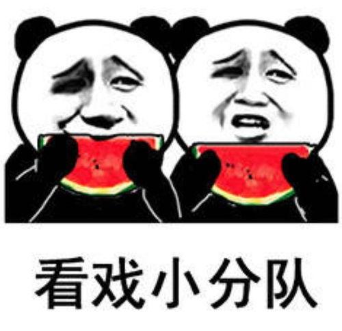 吃瓜熊被打视频大全,一场网络暴力引发的争议