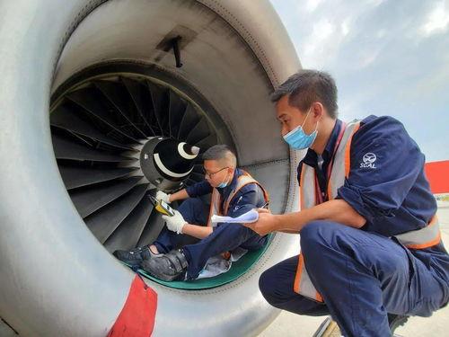飞机吃瓜博主,揭秘航空美食背后的故事