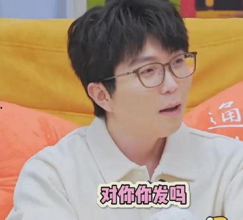 吃瓜不发言,静观其变