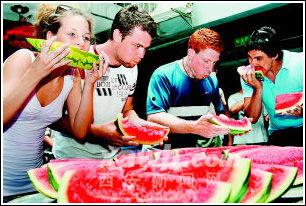 老外吃瓜事件,一场跨国文化的碰撞与解读