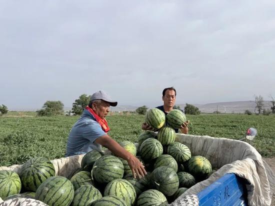 吃瓜每日看,吃瓜每日看，热点事件一网打尽