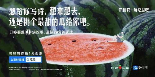 烧烤吃瓜文案,尽享美味与清凉的完美邂逅