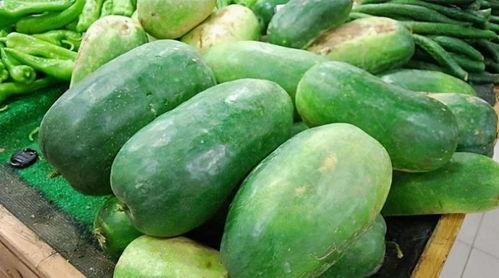 穿越吃瓜多木,多木世界的奇幻冒险