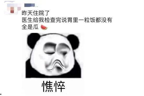 吃大瓜了惹不起,吃大瓜了？揭秘那些惹不起的娱乐圈风云